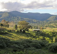Mount Nardi picnic area - VIC Tourism