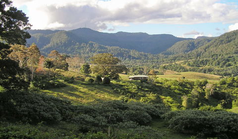 Mount Nardi Picnic Area - VIC Tourism 0