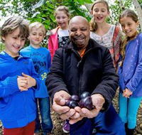 Wigay Aboriginal Culture Park - VIC Tourism