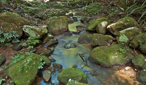 Whian Whian State Conservation Area - VIC Tourism 3