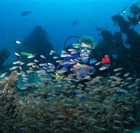 Aarhus Dive Site - VIC Tourism