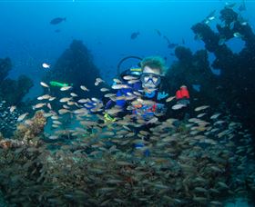 Aarhus Dive Site - VIC Tourism 0