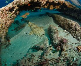 Aarhus Dive Site - VIC Tourism 3