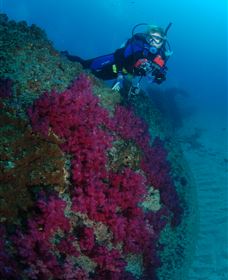 Aarhus Dive Site - VIC Tourism 2