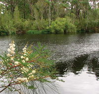 Wallingat National Park - VIC Tourism