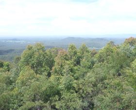 Collombatti NSW VIC Tourism