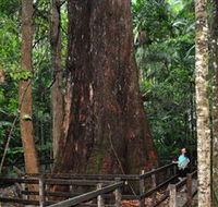 Bird Tree and Benaroon - VIC Tourism