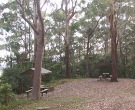 Orara East State Forest - VIC Tourism 2