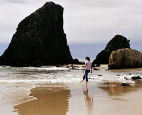 Glasshouse Rocks And Pillow Lava - VIC Tourism 1