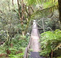 Bemm River Scenic Reserve - VIC Tourism