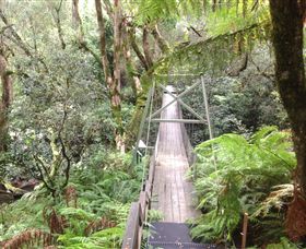 Bemm River Scenic Reserve - VIC Tourism 0