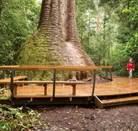 Burrawan State Forest - VIC Tourism