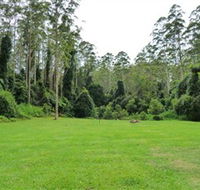 Kerewong State Forest - VIC Tourism