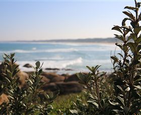 Cape Conran Coastal Park - VIC Tourism 0