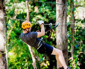 TreeTop Challenge Currumbin - VIC Tourism 0
