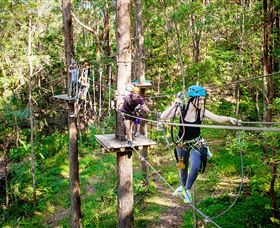 TreeTop Challenge Currumbin - VIC Tourism 1
