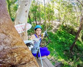 TreeTop Challenge Currumbin - VIC Tourism 3