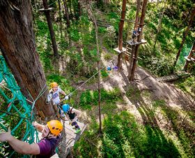 TreeTop Challenge Currumbin - VIC Tourism 2