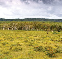 Yuraygir National Park - VIC Tourism