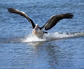 John Barton Photography - VIC Tourism 1