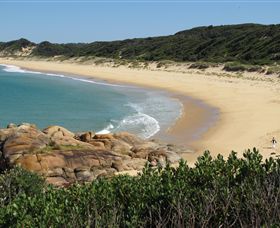 Cape Conran Nature Trail - VIC Tourism 1