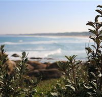 Cape Conran Nature Trail - VIC Tourism