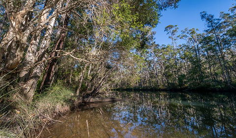Queens Lake Nature Reserve - VIC Tourism 3