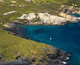 Montague Island Nature Reserve - VIC Tourism 1