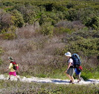 Yuraygir coastal walk - VIC Tourism