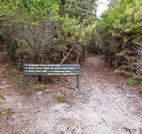 Angophora grove walking track - VIC Tourism