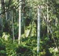 Lind National Park - VIC Tourism
