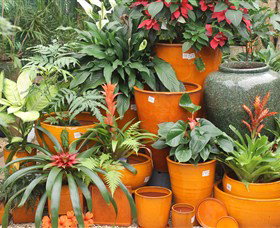 Diamond Waters Garden Nursery - VIC Tourism 1