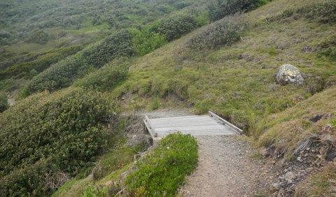 Connors Walking Track - VIC Tourism 2