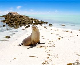 Abrolhos Islands - VIC Tourism 2