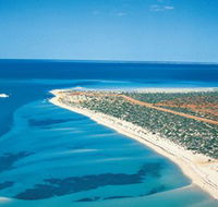 Monkey Mia - VIC Tourism
