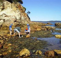 Sapphire Coast Marine Discovery Centre - VIC Tourism