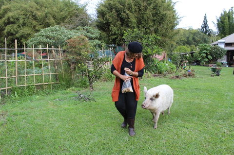 Djanbung Permaculture Gardens - VIC Tourism 7