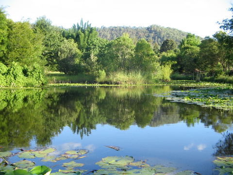 Djanbung Permaculture Gardens - VIC Tourism 10