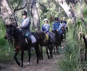 Mirravale Horse Riding School - VIC Tourism 0