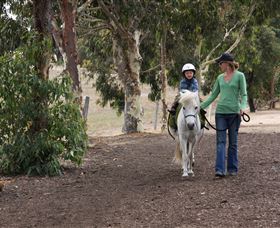 Mirravale Horse Riding School - VIC Tourism 2