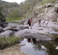 Nadgee Wilderness Walk - VIC Tourism