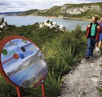 Rocky Cape National Park - VIC Tourism