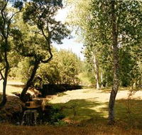 Oldina Picnic Area - VIC Tourism