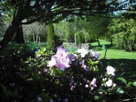 Annsleigh Gardens And Cafe - VIC Tourism 3