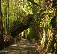 Philosopher Falls - VIC Tourism
