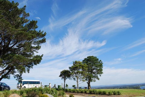 South Coast Scenic Tours - VIC Tourism 6