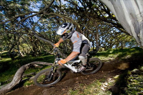 All Terrain Cycles - VIC Tourism 0