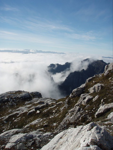 Trek Tasmania - VIC Tourism 5
