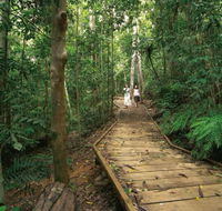 Lake Barrine Circuit Track Crater Lakes National Park - VIC Tourism