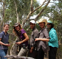 Echidna Walkabout Nature Tours - VIC Tourism